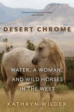Cover Desert Chrome (eBook, ePUB)