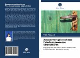 Zusammengebrochene Friedensprozesse überwinden