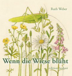 Wenn die Wiese blüht - Weber, Ruth