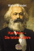 Karl Marx - Die letzten Jahre (eBook, ePUB)