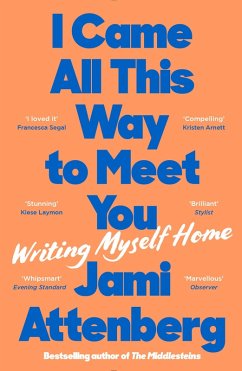 I Came All This Way to Meet You (eBook, ePUB) - Attenberg, Jami