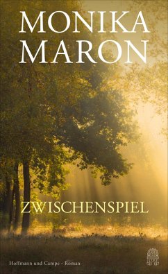 Zwischenspiel (eBook, ePUB) - Maron, Monika