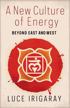 Cover A New Culture of Energy (eBook, ePUB)