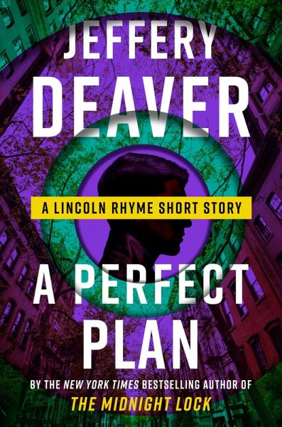 A Perfect Plan (eBook, ePUB)