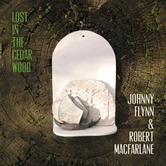 Cover Lost In The Cedar Wood