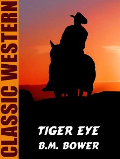 Tiger Eye (eBook, ePUB) - Bower, B. M.