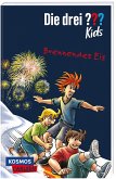 Brennendes Eis / Die drei Fragezeichen-Kids Bd.40