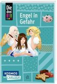 Die drei !!!: Engel in Gefahr