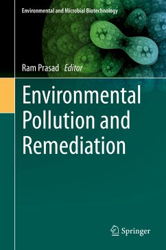 Environmental Pollution and Remediation (eBook, PDF)