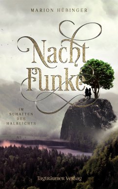 Nachtfunke 2 (eBook, ePUB) - Hübinger, Marion