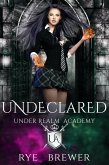 Undeclared (Under Realm Academy, #4) (eBook, ePUB)