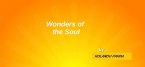 Wonders of the Soul (eBook, ePUB)