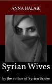 Syrian Wives (eBook, ePUB)