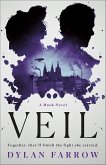 Veil (eBook, ePUB)