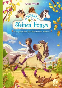 Wer packt hier das Glück bei der Mähne? / Die Schule der kleinen Ponys Bd.3 (eBook, ePUB) - Wolff, Anne