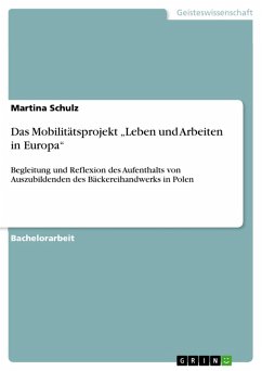 Das Mobilitätsprojekt "Leben und Arbeiten in Europa" (eBook, PDF)