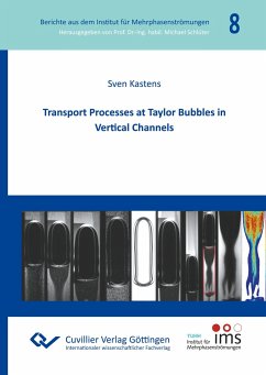 Transport Processes at Taylor Bubbles in Vertical Channels - Kastens, Sven