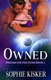 Owned (Nectar for the Gods, #1) (eBook, ePUB)
