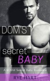 Dom's Secret Baby (eBook, ePUB)