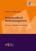 Praxishandbuch Risikomanagement (eBook, PDF)