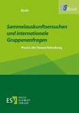 Sammelauskunftsersuchen und internationale Gruppenanfragen (eBook, PDF)