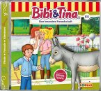 Die besondere Freundschaft / Bibi & Tina Bd.102 (1 Audio-CD)