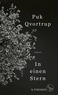 In einen Stern (eBook, ePUB) - Qvortrup, Puk