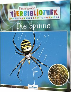 Die Spinne / Meine große Tierbibliothek Bd.24 - Poschadel, Jens