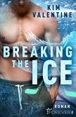 Breaking the Ice (eBook, ePUB)
