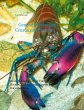 General Freshwater-Crustacean Practice - Bild 1