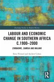Labour and Economic Change in Southern Africa c.1900-2000 (eBook, ePUB)