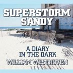Superstorm Sandy: A Diary in the Dark