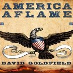 America Aflame Lib/E: How the Civil War Created a Nation