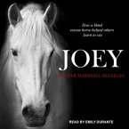 Joey Lib/E: How a Blind Rescue Horse Helped Others Learn to See