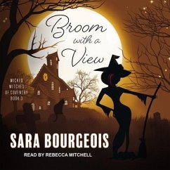Broom with a View - Bourgeois, Sara