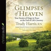 Glimpses of Heaven Lib/E: True Stories of Hope and Peace at the End of Life's Journey