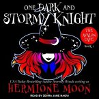 One Dark and Stormy Knight Lib/E