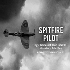 Spitfire Pilot - Dfc
