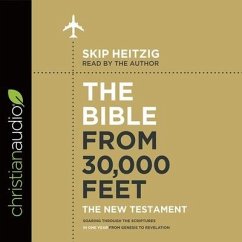 Bible from 30,000 Feet: The New Testament: Soaring Through the Scriptures in One Year from Genesis to Revelation - Heitzig, Skip