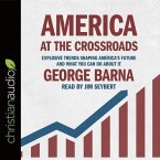America at the Crossroads Lib/E: Explosive Trends Shaping America's Future and What You Can Do about It