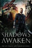 Shadows Awaken, The Last Dragon Skin Chronicles, Book 3