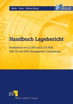 Handbuch Lagebericht (eBook, PDF)