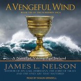 A Vengeful Wind: A Novel of Viking Age Ireland
