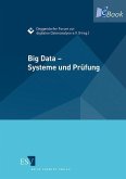 Big Data - Systeme und Prüfung (eBook, PDF)