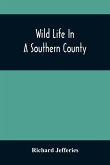 Wild Life In A Southern County