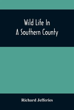 Wild Life In A Southern County - Jefferies, Richard