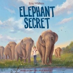 Elephant Secret Lib/E - Walters, Eric