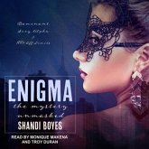 Enigma Lib/E: The Mystery Unmasked