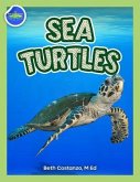 Sea Turtles Activity Workbook ages 4-8 (eBook, ePUB) Sea Turtles Activity Workbook ages 4-8 (eBook, ePUB)