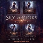 Sky Brooks Lib/E: Books 1-4 Box Set